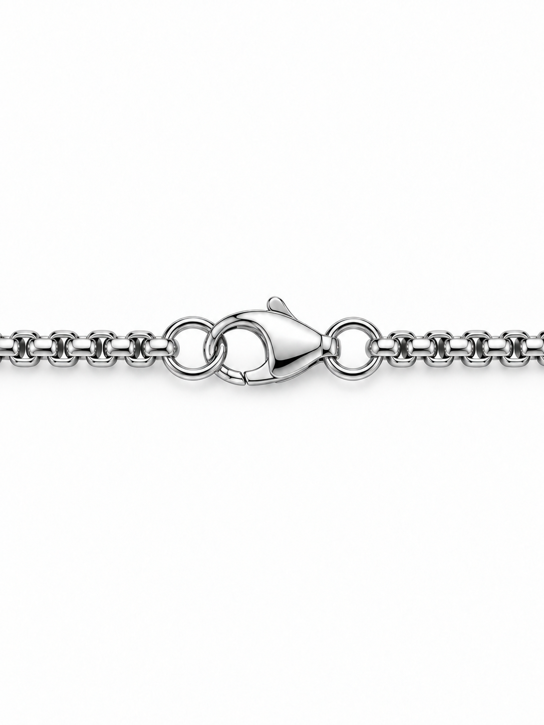 WING PENDANT (SILVER) 2.5MM